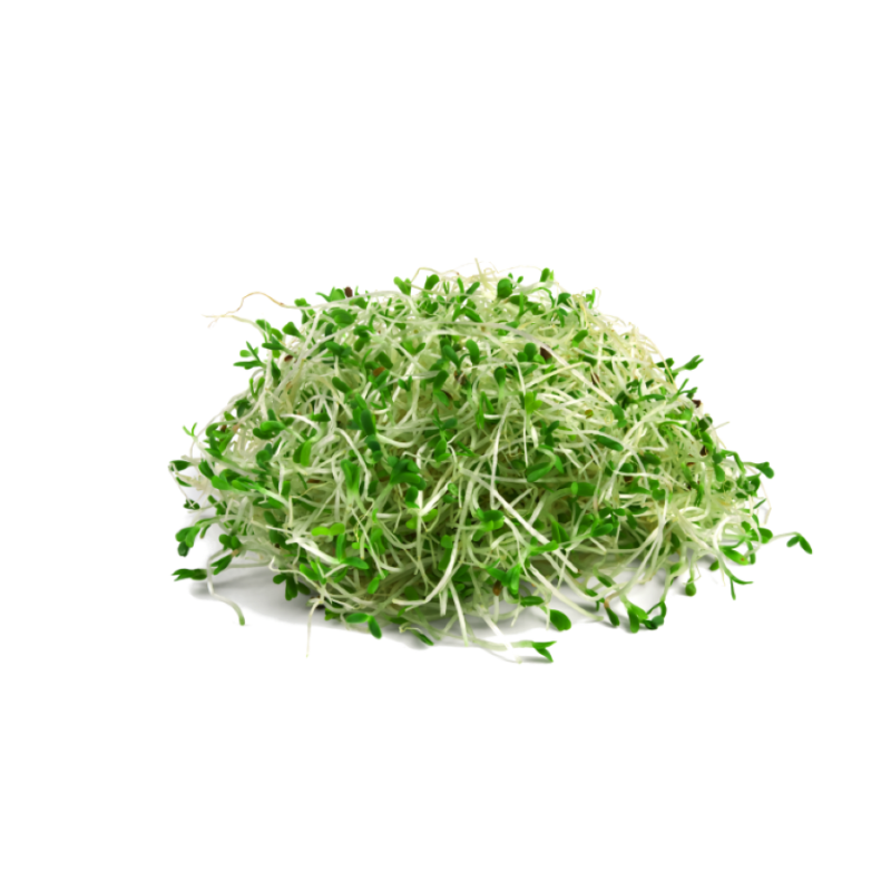 LEEK SPROUTS 100GR BE