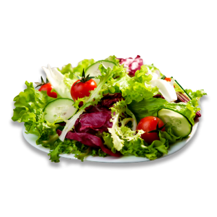 GEMENGDE SALADE 500GR SAC BE