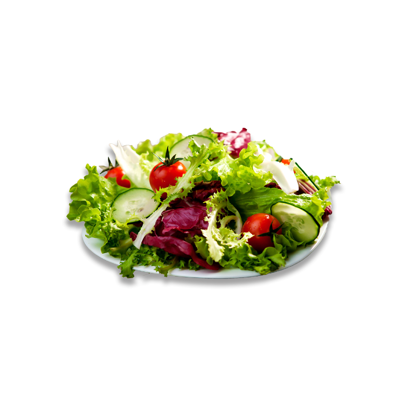 GEMENGDE SALADE 500GR SAC BE