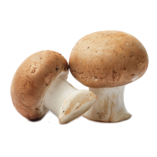 CHAMPIGNON BRUN VRAC 3KG NL