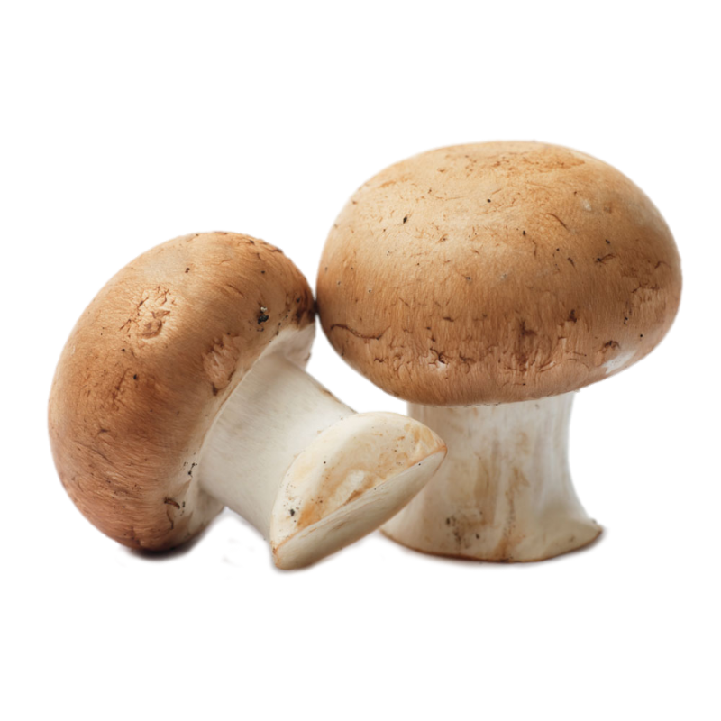 CHAMPIGNON BRUN VRAC 3KG NL