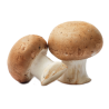 CHAMPIGNON BRUN VRAC 3KG NL