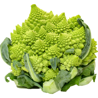 KOOL ROMANESCO 6ST ESP