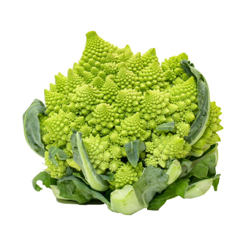 CABBAGE ROMANESCO 6PC ESP