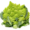 CABBAGE ROMANESCO 6PC ESP