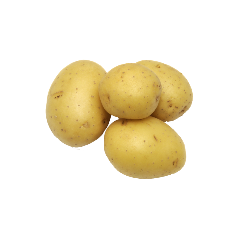 AARDAPPEL NICOLA 8X2.5 KG BE