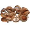 CHAMPIGNONS SHIITAKE 1.5KG BE