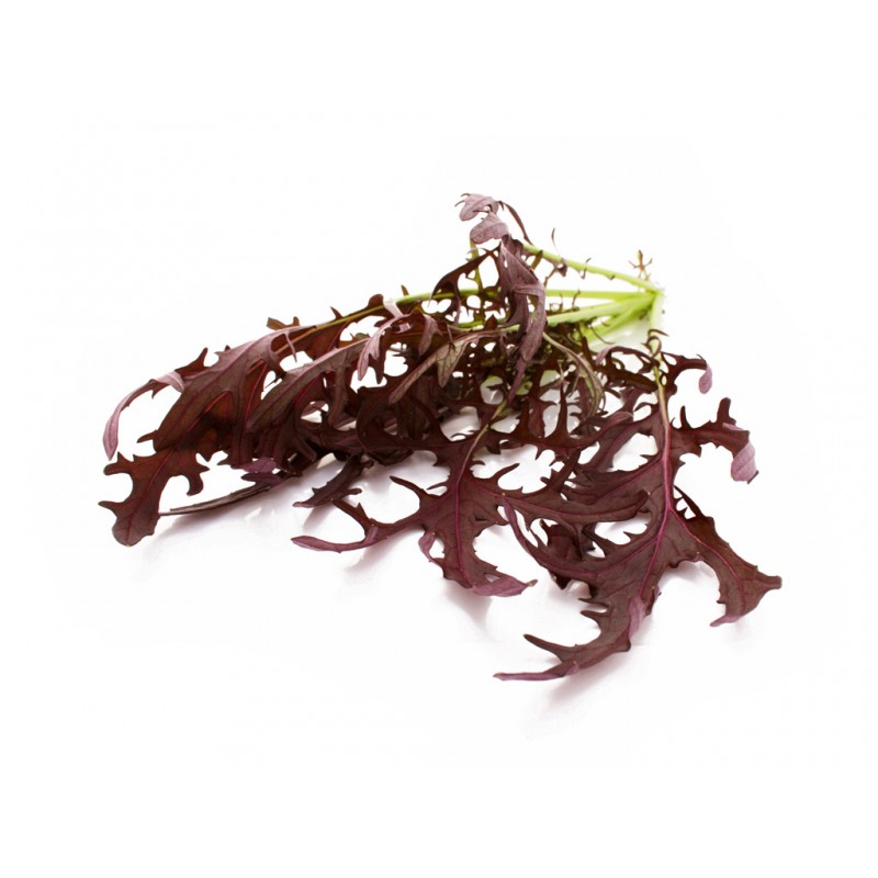 MIZUNA RED SALAD 8X125GR BE