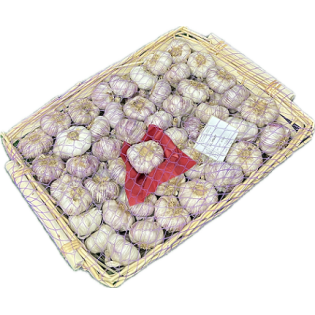 AIL ROSE PANIER 7KG ESP