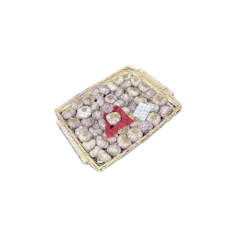 GARLIC PINK BASKET 7KG ESP