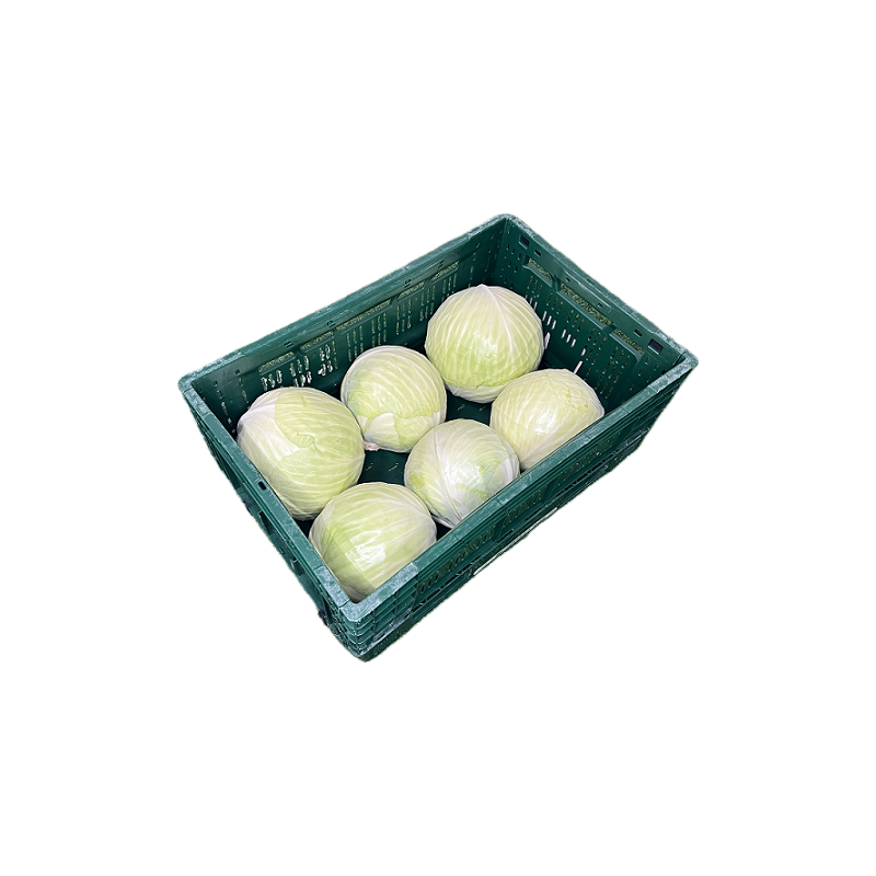 CHOUX BLANC 6PC BE