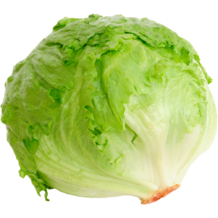 SALADE ICEBERG 9PC ESP