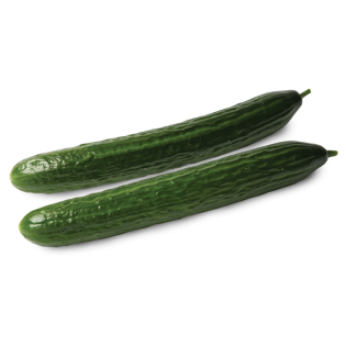 CUCUMBER EXPORT 12PC BE