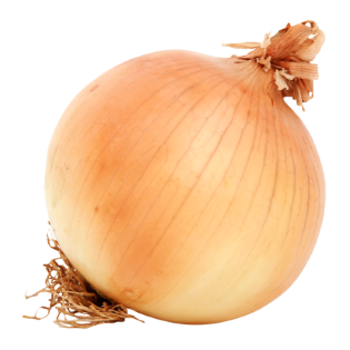SPANISH ONION 25KG ESP