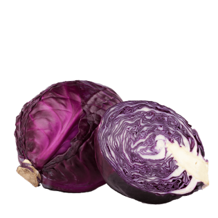 RED CABBAGE 6PC BE