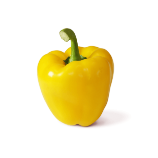POIVRON JAUNE 5KG BE