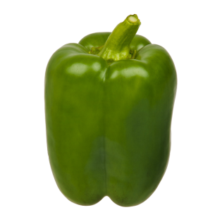 POIVRON VERT 5KG BE