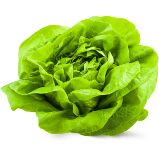 SALADE BELGIE 6PC BE