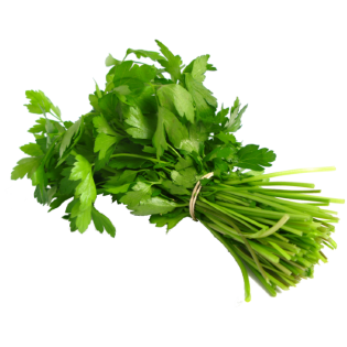 PARSLEY MAROCCO