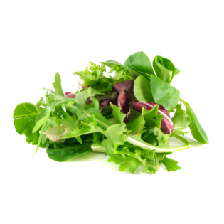MESCLUN SALADE 8X125GR ITA