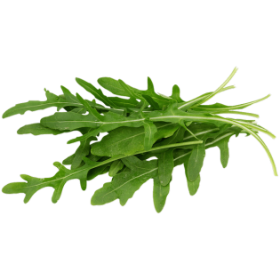 SALADE ROQUETTE 8X125GR ITA