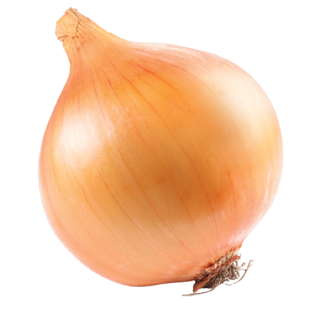 SPANISH ONION 10KG ESP