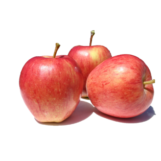 JONAGOLD VILLAGE APPLE 12KG BE