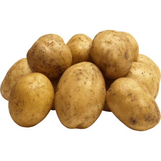 UNWASHED POTATOES 25KG BE